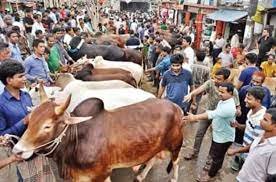 বরিশালে অনলাইন ও এফবিতে জমে উঠেছে কোরবানীর পশুর হাট 3 বরিশালে অনলাইন ও এফবিতে জমে উঠেছে কোরবানীর পশুর হাট