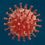 করোনাভাইরাস [ Coronavirus ]