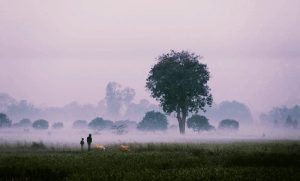 তেঁতুলিয়ায় সর্বনিম্ন তাপমাত্রা রেকর্ড