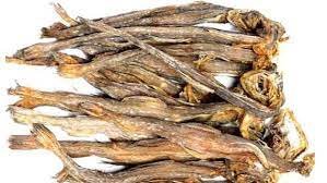 ভোলায় শুটকি উৎপাদনের ব্যাপক সম্ভাবনা