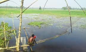 কুমিল্লায় তৈরি হচ্ছে সাগরে মাছ ধরার জাল