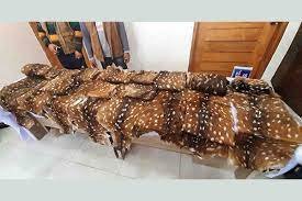 বাগেরহাটে হরিণের চামড়াসহ চার শিকারি আটক