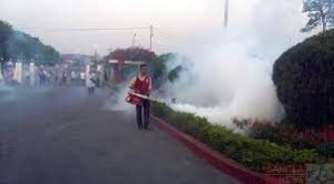 মশক নিধন এ শিগগির ক্রাশ প্রোগ্রাম : চসিক মেয়র