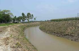 মুজিবনগরের নাগার খাল পুনঃখননে ৫ হাজার ৭০০ টন ধান অতিরিক্ত উৎপন্ন হবে