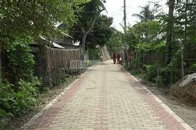 নাটোরের গ্রামীণ জনপদে দেশের প্রথম ইউনিব্লকের রাস্তা 3 নাটোরের গ্রামীণ জনপদে দেশের প্রথম ইউনিব্লকের রাস্তা