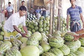 কুমিল্লার হাট বাজার তরমুজে ভরপুর 2 কুমিল্লার হাট বাজার তরমুজে ভরপুর