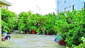 কুমিল্লার আব্দুর রবের ছাদবাগানটি যেন এক টুকরো সবুজ উদ্যান