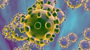 সারাদেশে শিক্ষাপ্রতিষ্ঠান খুলেছে, উচ্ছ্বসিত শিক্ষার্থীরা 1 সারাদেশে শিক্ষাপ্রতিষ্ঠান খুলেছে, উচ্ছ্বসিত শিক্ষার্থীরা