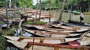 কুমিল্লায় ডিঙি নৌকা তৈরির ধুম পড়েছে 2 কুমিল্লায় ডিঙি নৌকা তৈরির ধুম পড়েছে