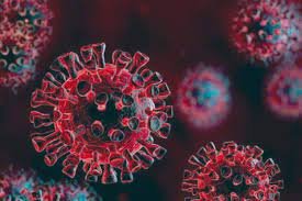 সিলেট বিভাগে করোনায় ২৪ ঘন্টায় ৫ জনের মৃত্যু, শনাক্তের হার ৪.৯২ শতাংশ