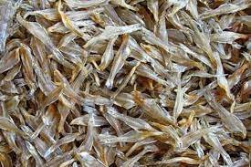 উজিরপুরে শুটকি তৈরি করে নিজেদের ভাগ্য বদল করছে ২৫টি পরিবার