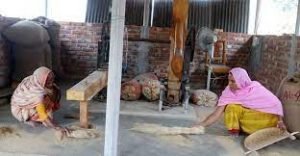 ঠাকুরগাঁওয়ে সাড়া ফেলেছে ওমর ফারুকের ‘ডিজিটাল ঢেঁকি’ 1 ঠাকুরগাঁওয়ে সাড়া ফেলেছে ওমর ফারুকের ‘ডিজিটাল ঢেঁকি’