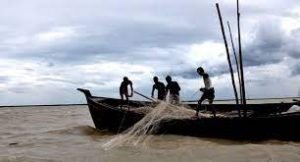 ভোলার মেঘনা ও তেঁতুলিয়া নদীতে ইলিশ শিকার শুরু হচ্ছে আগামীকাল