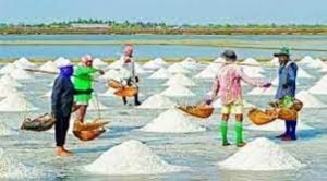 রাজশাহীতে আয়োডিনযুক্ত লবণ আইন-২০২১ অবহিতকরণ কর্মশালা