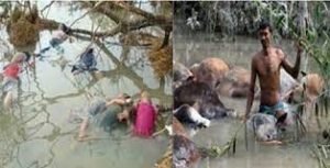 আগামীকাল ভয়াল ১২ নভেম্বর 3 আগামীকাল ভয়াল ১২ নভেম্বর