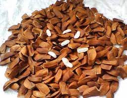 কৃষকরা মেহগিনির ছাল-বাকল-ফল দিয়ে তৈরী করছে প্রাকৃতিক বালাইনাশক, উপকৃত হচ্ছেন 2 মেহগিনির ছাল-বাকল-ফল দিয়ে তৈরী হচ্ছে প্রাকৃতিক বালাইনাশক, উপকৃত হচ্ছেন কৃষকরা