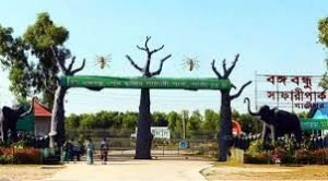 বঙ্গবন্ধু শেখ মুজিব সাফারি পার্কে নায়ালার ঘরে নতুন অতিথির আগমন