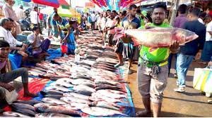 বগুড়ার বিভিন্ন স্থানে বসেছে নবান্নের মাছের মেলা