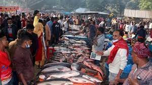 বগুড়ার বিভিন্ন স্থানে বসেছে নবান্নের মাছের মেলা