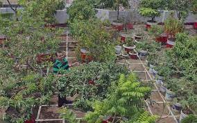 উৎস থেকে বর্জ্য পৃথক করা হলে পরিবেশবান্ধব নগর গড়া সম্ভব : চসিক মেয়র 