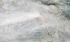 ভোলায় অবৈধ জাল নির্মূলে নদীতে বিশেষ অপারেশন চলছে