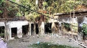 শহীদ ধীরেন্দ্রনাথের নামে ভাষা জাদুঘর স্থাপনের দাবি কুমিল্লাবাসীর