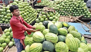 কুমিল্লার হাট বাজার তরমুজে ভরপুর 3 কুমিল্লার হাট বাজার তরমুজে ভরপুর
