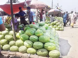 কুমিল্লার হাট বাজার তরমুজে ভরপুর 5 কুমিল্লার হাট বাজার তরমুজে ভরপুর
