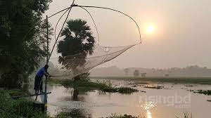 দাউদকান্দির প্লাবনভূমিতে বসন্ত গ্রীষ্মে ধান -বর্ষা হেমন্তে মাছ চাষ 5 দাউদকান্দির প্লাবনভূমিতে বসন্ত গ্রীষ্মে ধান -বর্ষা হেমন্তে মাছ চাষ