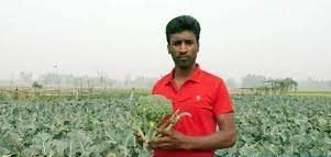 শেরপুরে চাষ হচ্ছে বিদেশি সবজি ব্রুকোলি