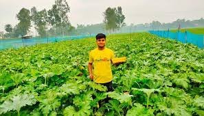 করোনাকালে পতিত জমি কাজে লাগিয়ে শাকিল আহমেদ এখন সফল উদ্যেক্তা