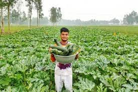 করোনাকালে পতিত জমি কাজে লাগিয়ে শাকিল আহমেদ এখন সফল উদ্যেক্তা