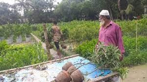 কুমিল্লায় নার্সারি ব্যবসায় বদলে দিয়েছে পাবেলের ভাগ্য 4 কুমিল্লায় নার্সারি ব্যবসায় বদলে দিয়েছে পাবেলের ভাগ্য