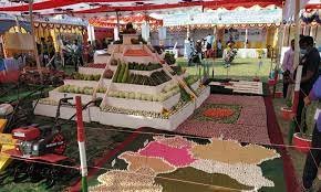 নাটোরে সুবর্ণজয়ন্তীর মেলায় অনন্য কৃষি প্যাভিলিয়ন