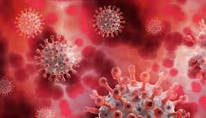 করোনার সর্বোচ্চ রেকর্ড