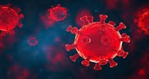 করোনার বিস্তার প্রতিরোধে সামাজিক আন্দোলন গড়ে তুলতে হবে : শিল্প সচিব