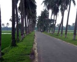 পিরোজপুর জেলা হাসপাতাল নির্মাণে ১১ কোটি টাকা বরাদ্দ