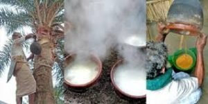 বিলীন হতে চলেছে মানিকগঞ্জের হাজারী গুড়ের ঐতিহ্য 7 বিলীন হতে চলেছে মানিকগঞ্জের হাজারী গুড়ের ঐতিহ্য