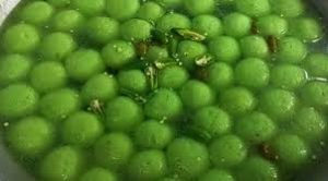 কুমিল্লায় মিষ্টির জগতে কাঁচা মরিচের ঝাঁজে সবুজ রঙের রসগোল্লা