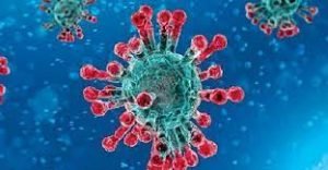 করোনায় মারা গেছেন ৭৮ ও নতুন আক্রান্ত ৪,৬৩৬ জন 2 করোনায় মারা গেছেন ৭৮ ও নতুন আক্রান্ত ৪,৬৩৬ জন