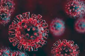 করোনায় মারা গেছেন ৭৮ ও নতুন আক্রান্ত ৪,৬৩৬ জন 1 করোনায় মারা গেছেন ৭৮ ও নতুন আক্রান্ত ৪,৬৩৬ জন