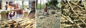 কুমিল্লায় বাঁশি শিল্পের সাথে জড়িতরা ব্যস্ত সময় পার করছেন