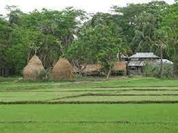 গ্রামীণ প্রান্তিক জনগোষ্ঠীর ভাগ্য ফেরাতে অনন্য ভূমিকা রাখছেন ভারতী রাণী সেন 4 গ্রামীণ প্রান্তিক জনগোষ্ঠীর ভাগ্য ফেরাতে অনন্য ভূমিকা রাখছেন ভারতী রাণী সেন