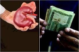 রাজধানীতে কিডনি বেঁচা কেনার অভিযোগে ৫ জন গ্রেফতার 4 রাজধানীতে কিডনি বেঁচা কেনার অভিযোগে ৫ জন গ্রেফতার