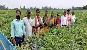 জয়পুরহাটে গ্রীষ্মকালীন তরমুজ চাষে কৃষকদের সফলতা
