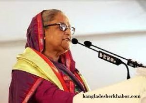 বিএনপি ক্ষমতায় গেলে মানুষের ভোটের অধিকার নিয়ে ছিনিমিনি খেলে : প্রধানমন্ত্রী