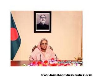 গণতান্ত্রিক প্রক্রিয়া বাধাগ্রস্ত করে এমন কোনো অপপ্রচারে প্রশ্রয় দিবেন না: প্রধানমন্ত্রী