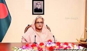 গণতান্ত্রিক প্রক্রিয়া বাধাগ্রস্ত করে এমন কোনো অপপ্রচারে প্রশ্রয় দিবেন না: প্রধানমন্ত্রী